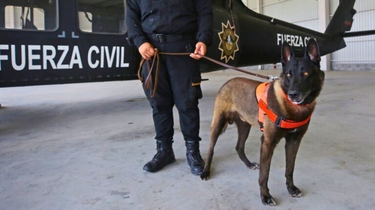 large_INFO_7_UNA_FOTO_4_695bfbf5bd