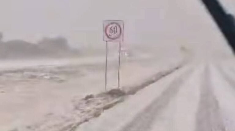 large_Whats_App_Image_2026_04_08_at_10_47_28_PM_25208c2d1d