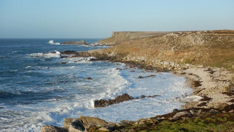 nationalgeographic2411299