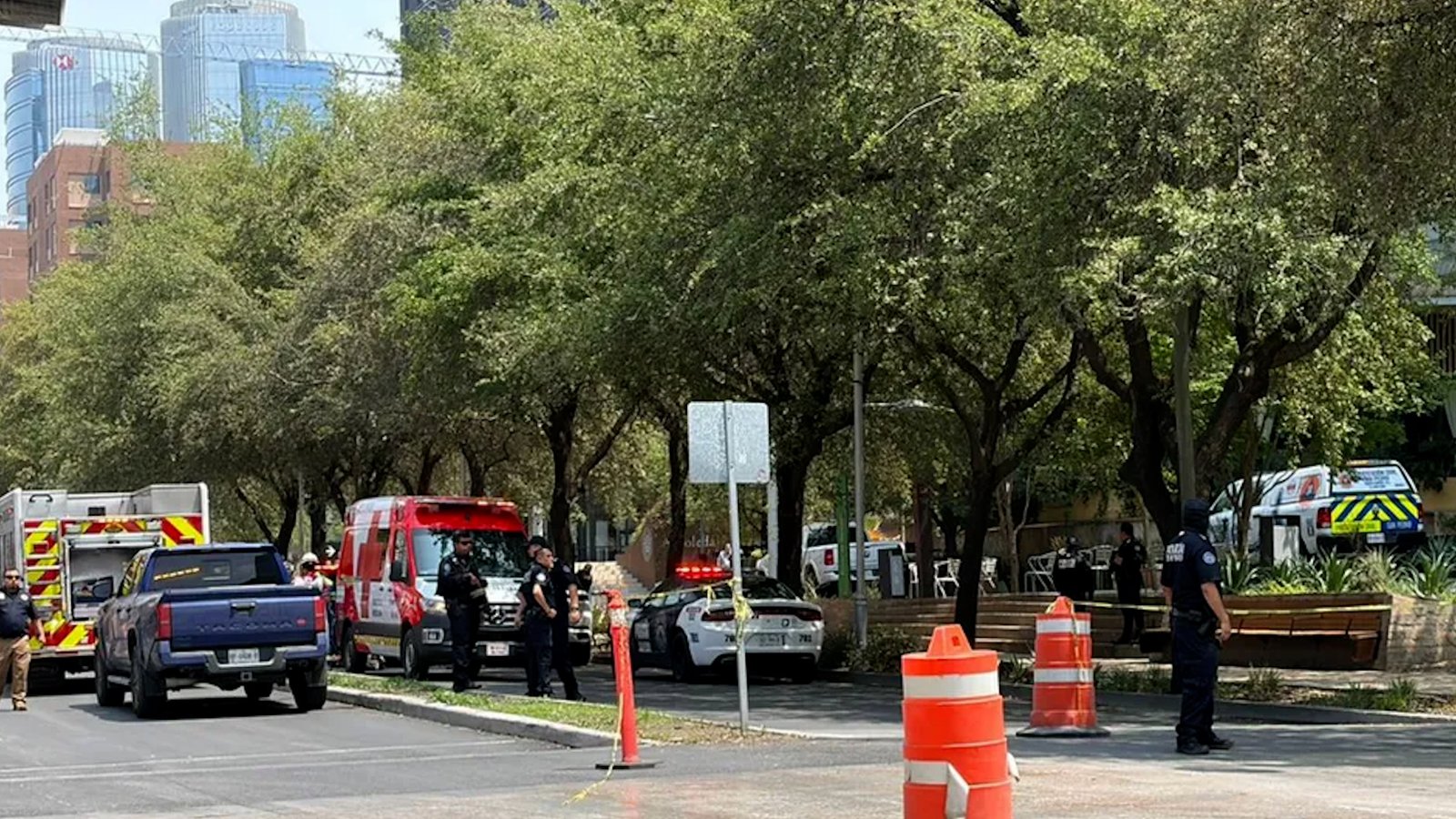policia-san-pedro-detenido-falsas