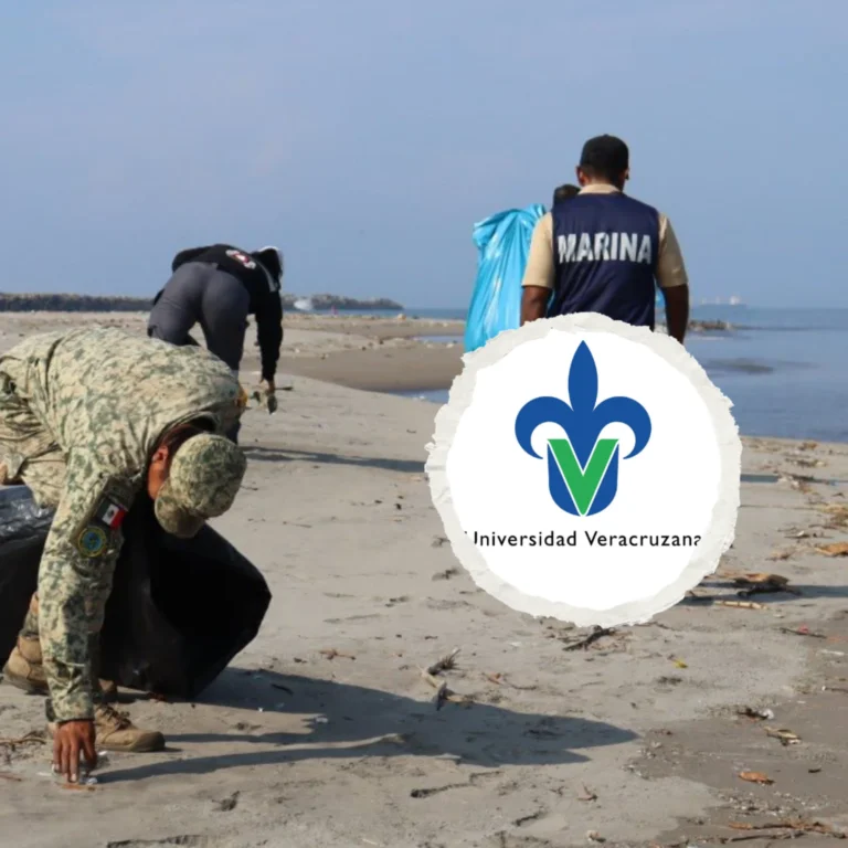 tras_derrame_de_hidrocarburo_universidad_veracruzana_se_integra_a_nuevo_observatorio_permanente_del_golfo_de_m-xico_-1-.png_610058632