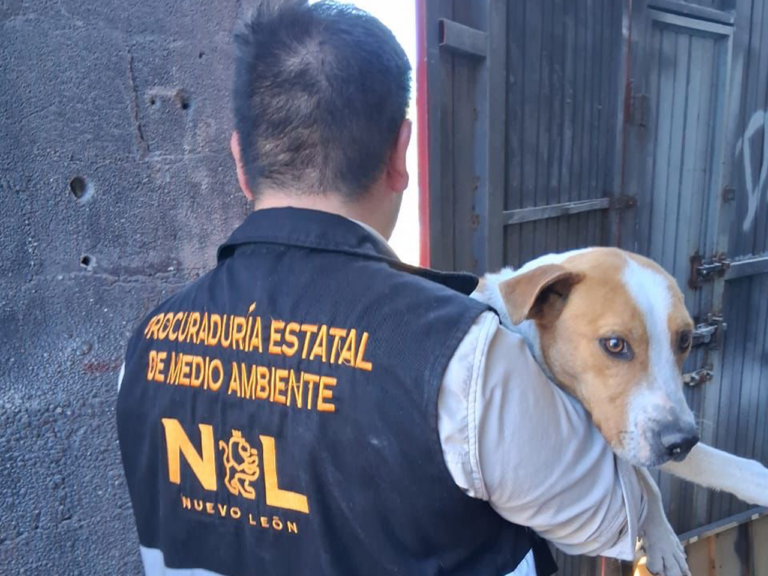 20260227_06_rescate_de_perritos_01