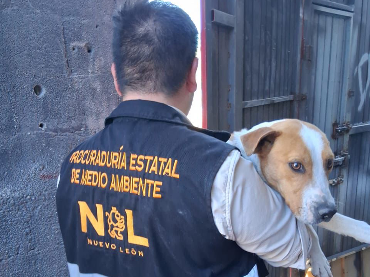 20260227_06_rescate_de_perritos_01