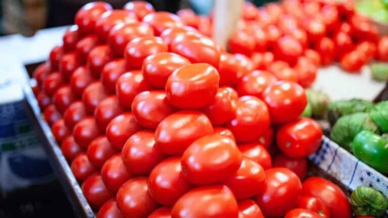 inflacion-en-mexico-eleva-hasta-200-el-precio-del-jitomate-y-chiles-en-2026-68508c6b