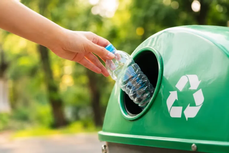 nuevo-len-celebra-el-reciclafest-por-el-da-mundial