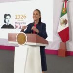 Plecas e informacion (14)