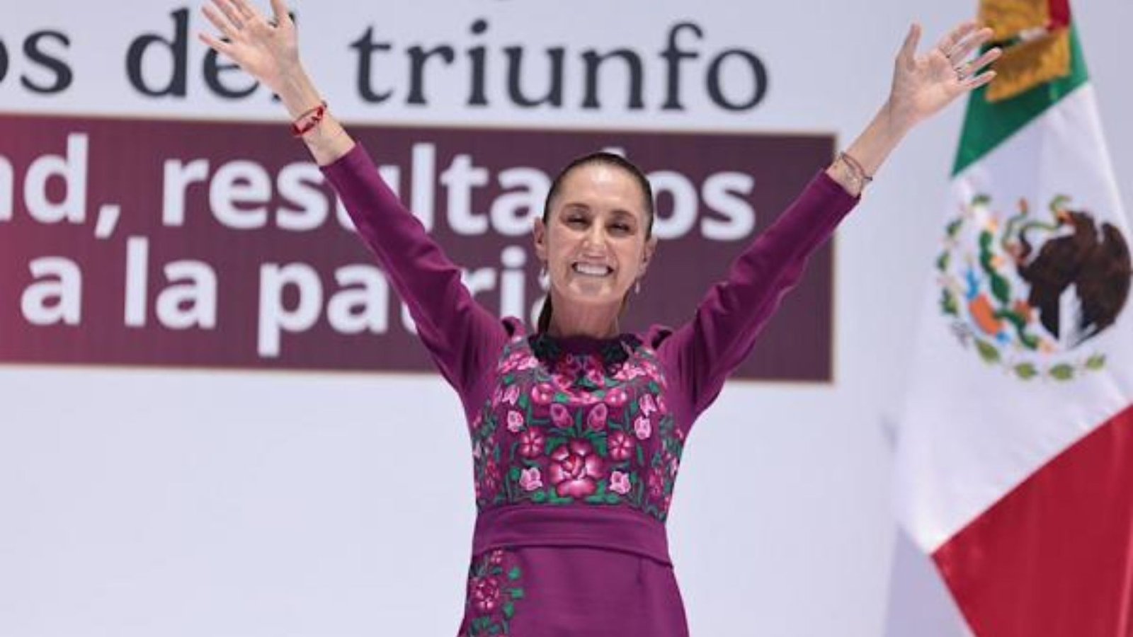 Plecas e informacion (22)