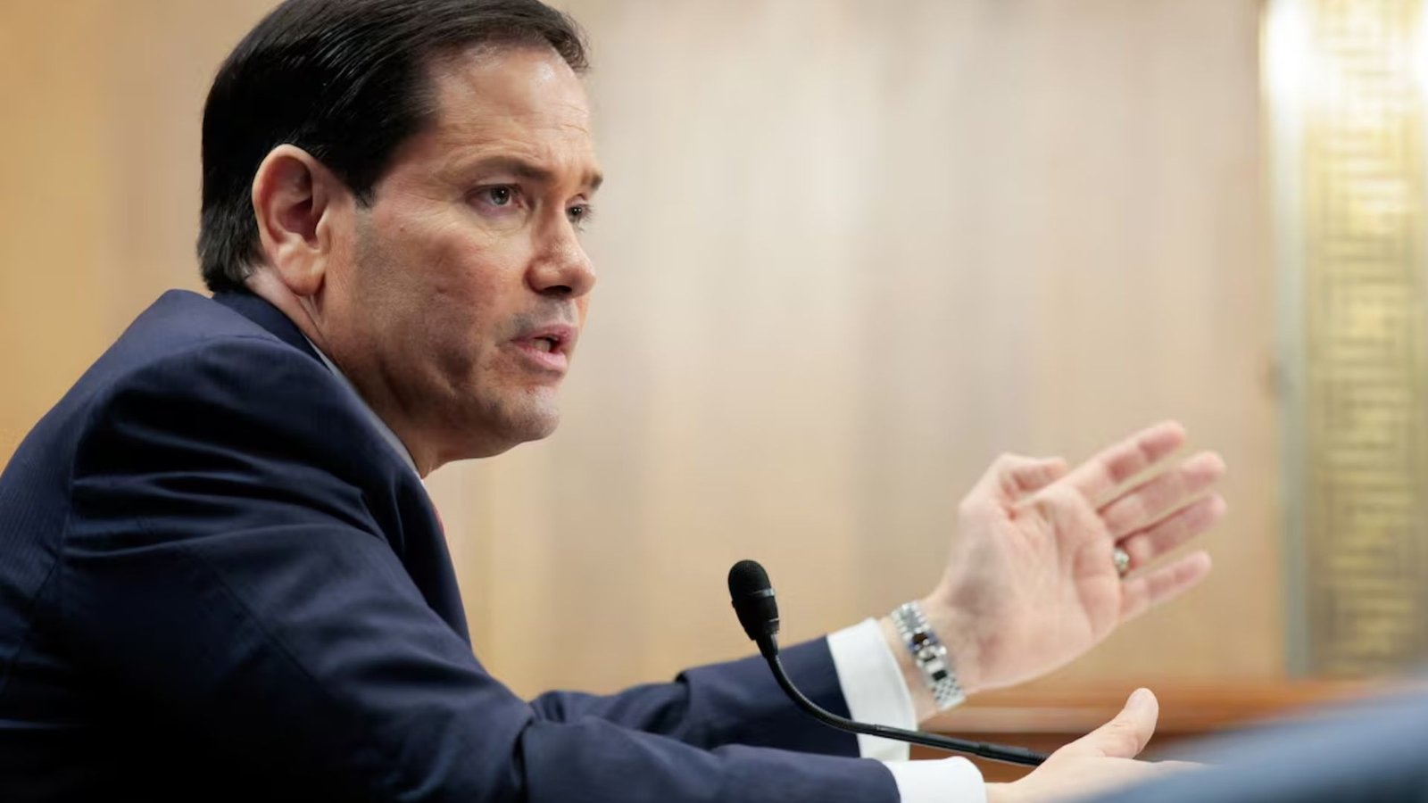 Plecas e informacion (56)