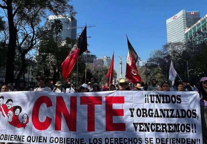 Plecas e informacion (61)