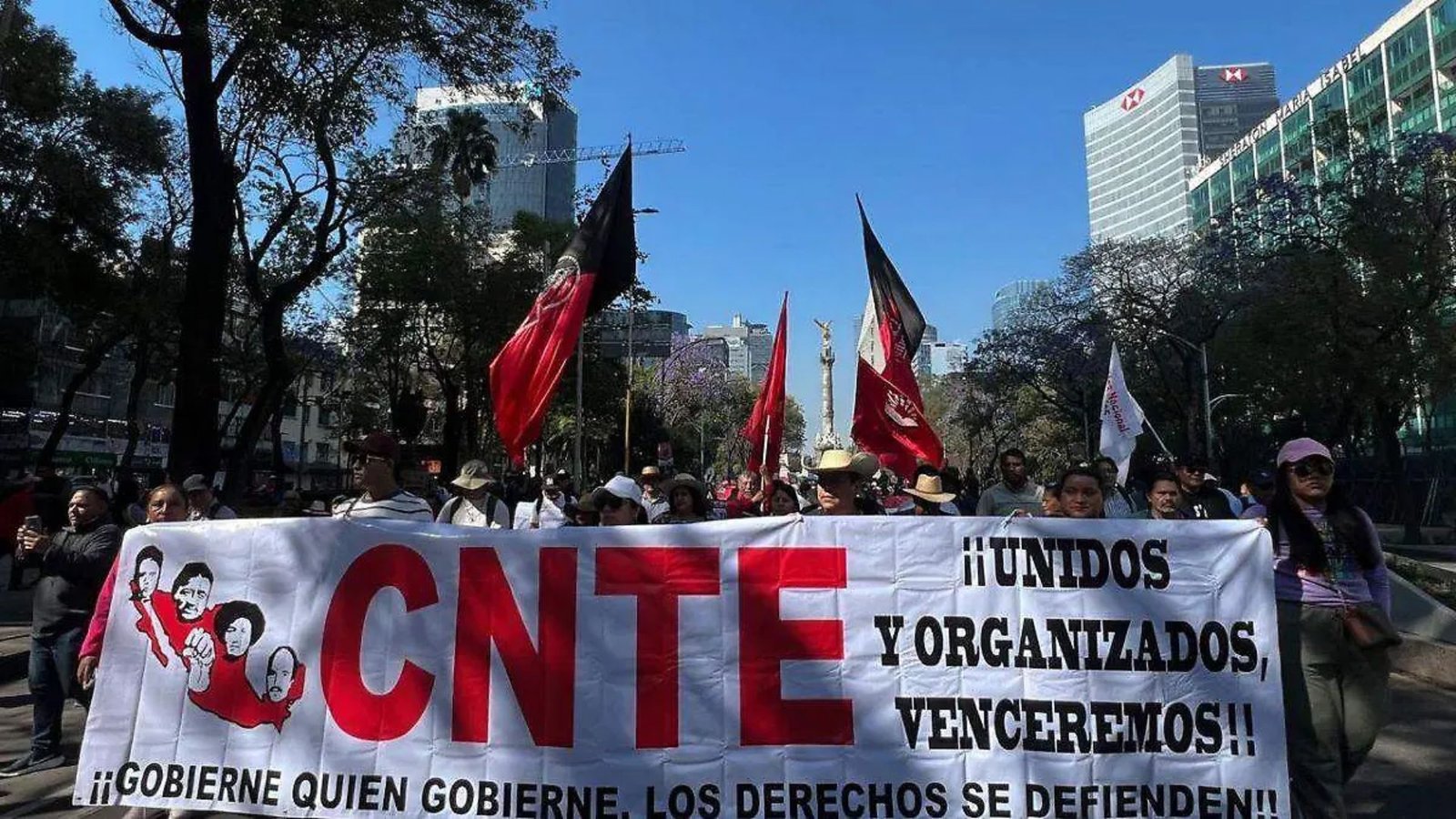 Plecas e informacion (61)