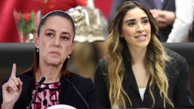 Plecas e informacion (74)