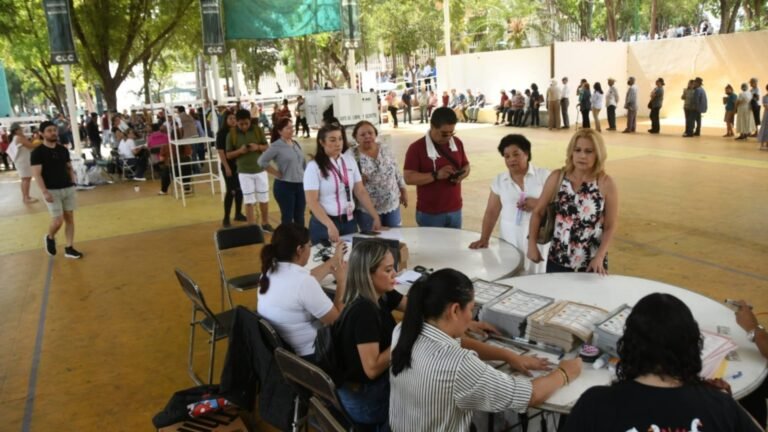 Plecas e informacion (98)