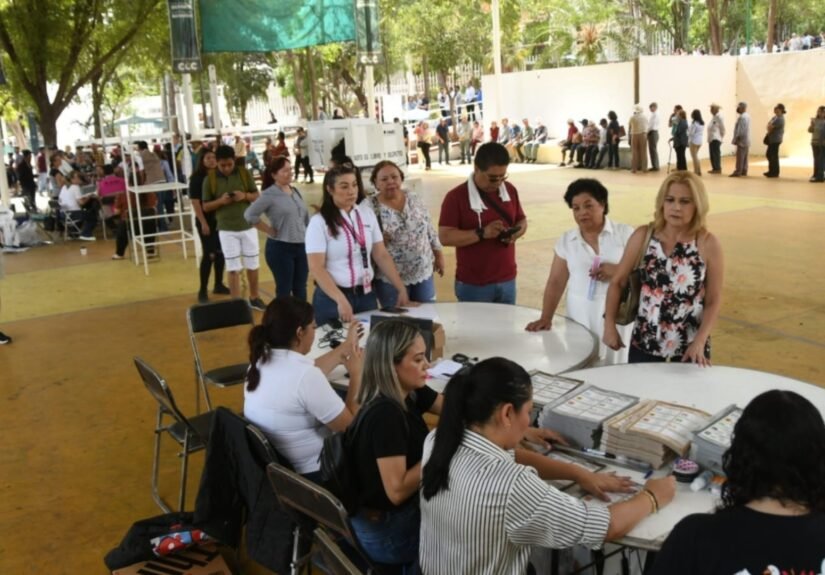 Plecas e informacion (98)