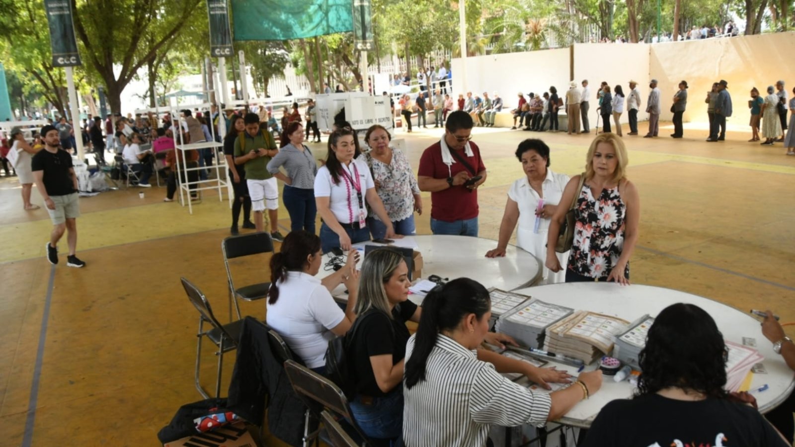 Plecas e informacion (98)